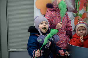 портфолио